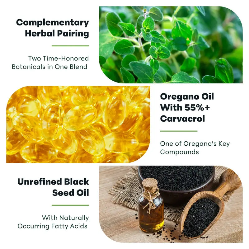Micro Ingredients Oregano Oil with Black Seed Oil, 150/300 Softgel, 4X Strength Carvacrol & Thymoquinone | Plant Based, Non-Gmo